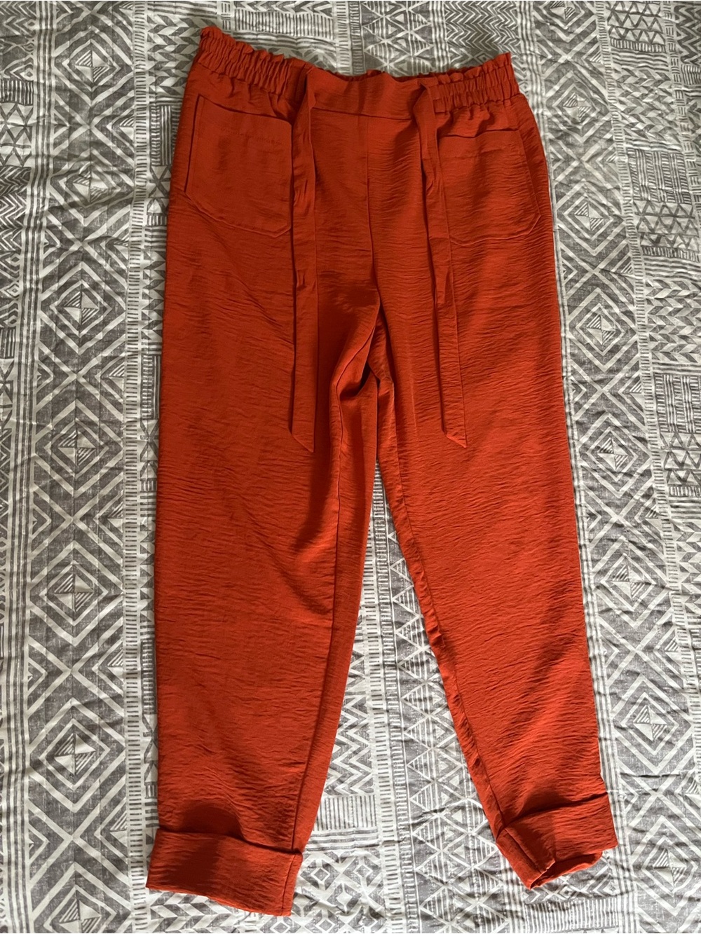 NYCC Burnt Orange Elastic Waist Pull-On Pants
